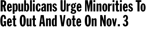 Archived image: GOP turnout drive