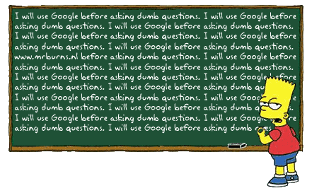 Archived image: bartgoogle