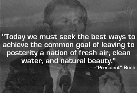 Archived image: bush environment