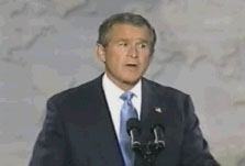 Archived image: bush on resolution