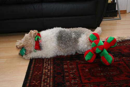 Archived image: christmas morning 1