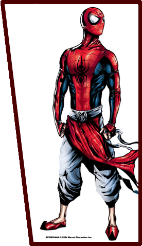 Archived image: desi spiderman