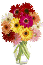 Archived image: flowers
