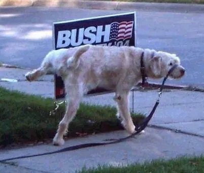 Archived image: good dog