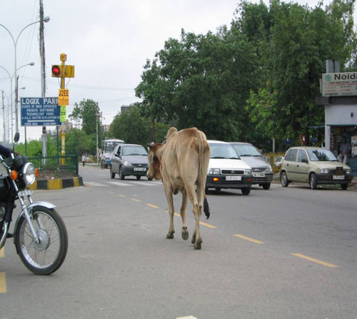 Archived image: india infrastructure