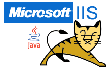 Screenshot: java on windows