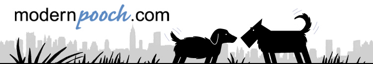 Archived image: modernpooch