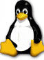 Archived image: penguin