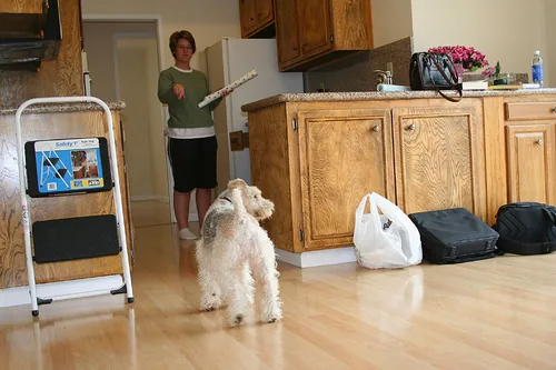 Archived image: setting up in new home 2