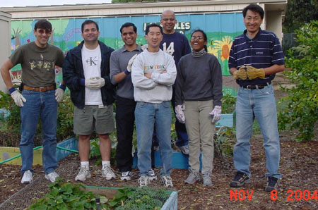 Archived image: volunteer small
